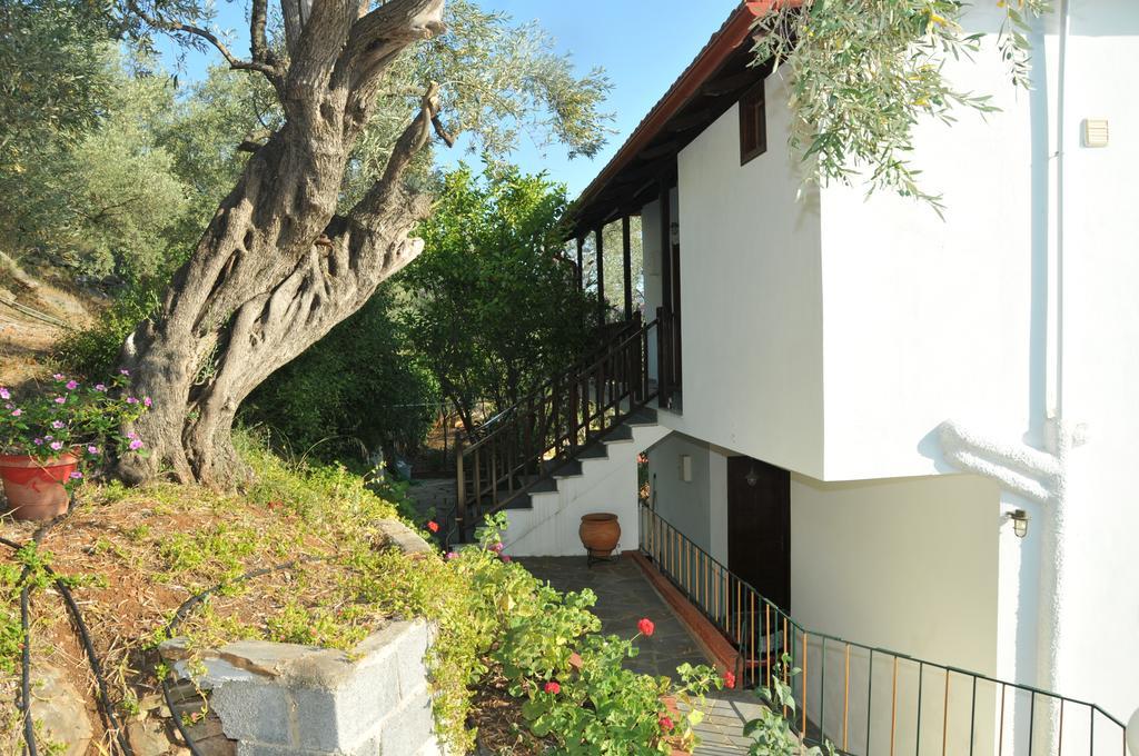 Violetta Studios & Apartments Milina Luaran gambar