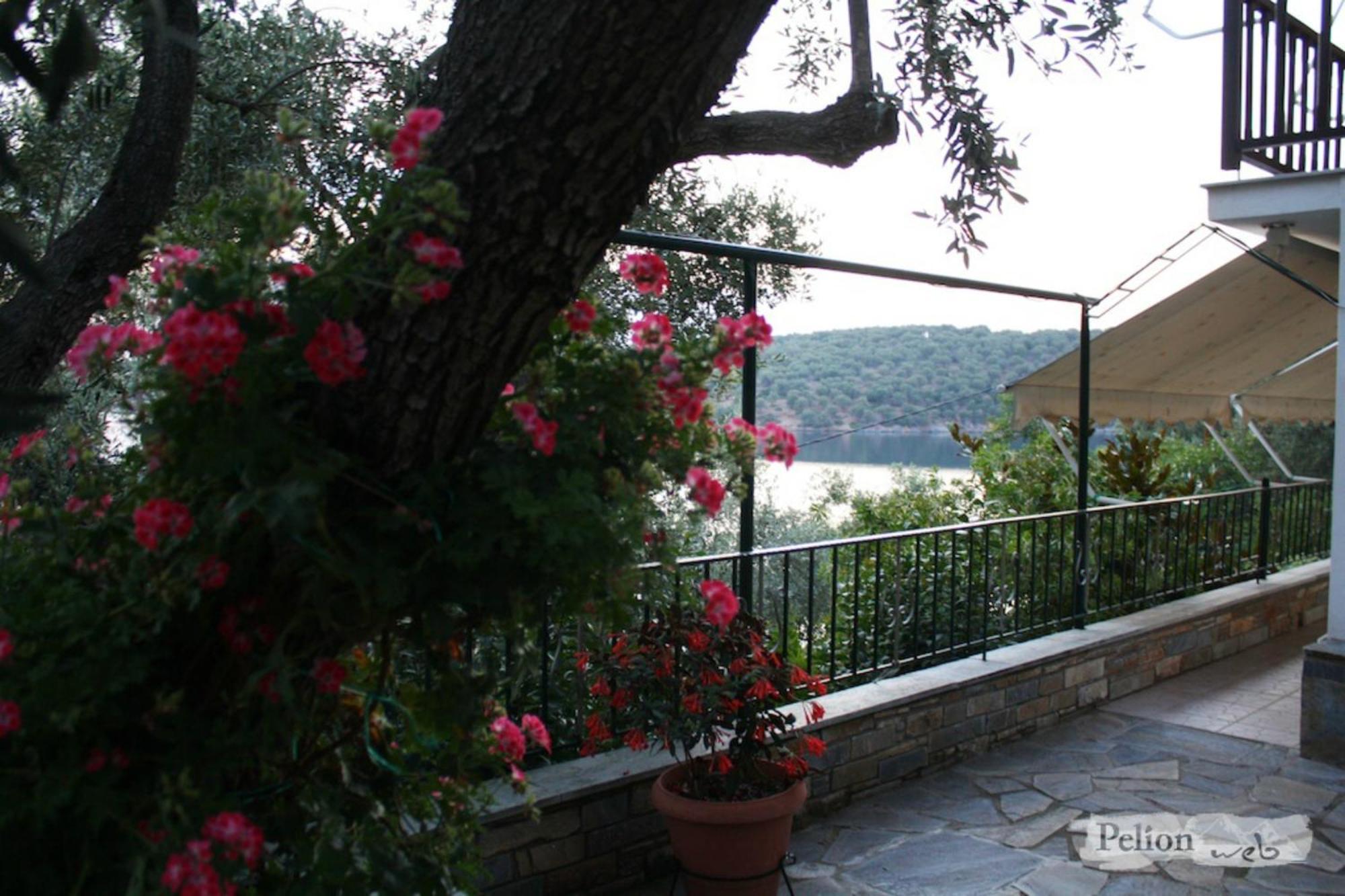 Violetta Studios & Apartments Milina Bilik gambar